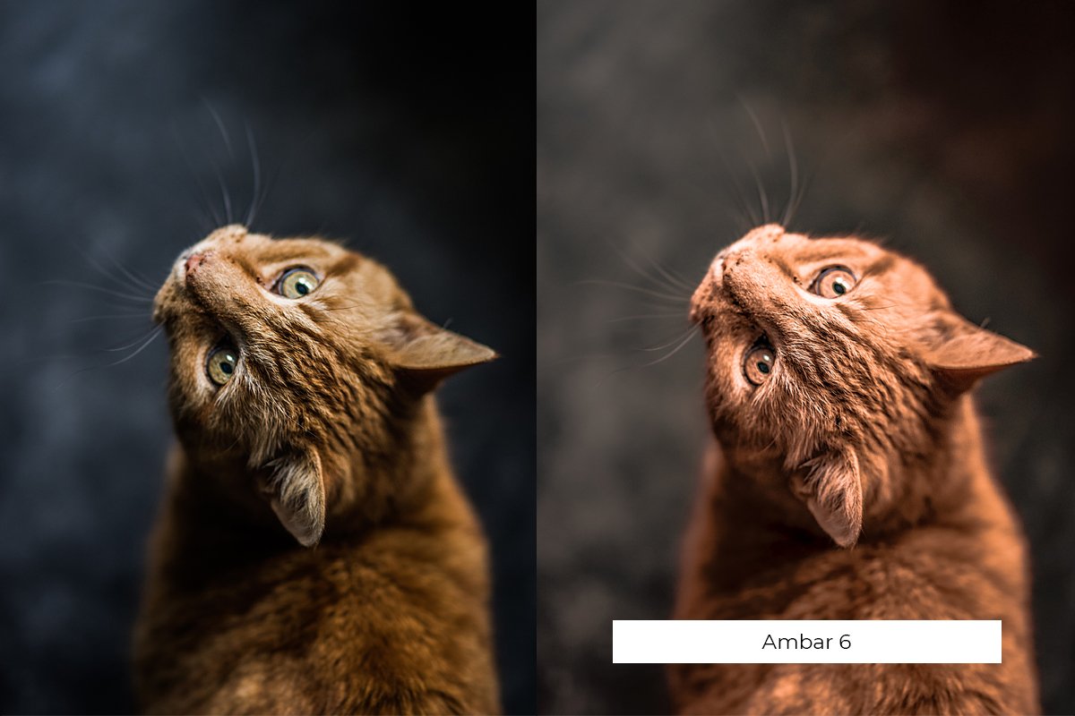 Ambar Lightroom Preset Design Cuts