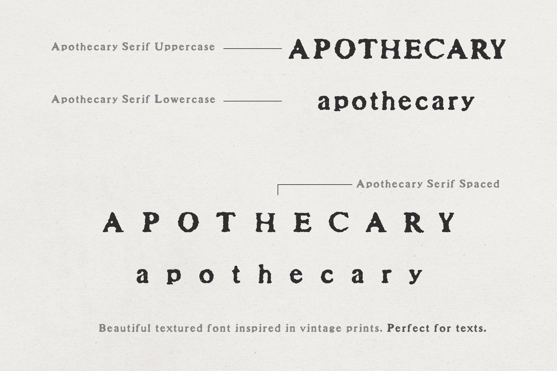 Apothecary Serif Font Collection Design Cuts