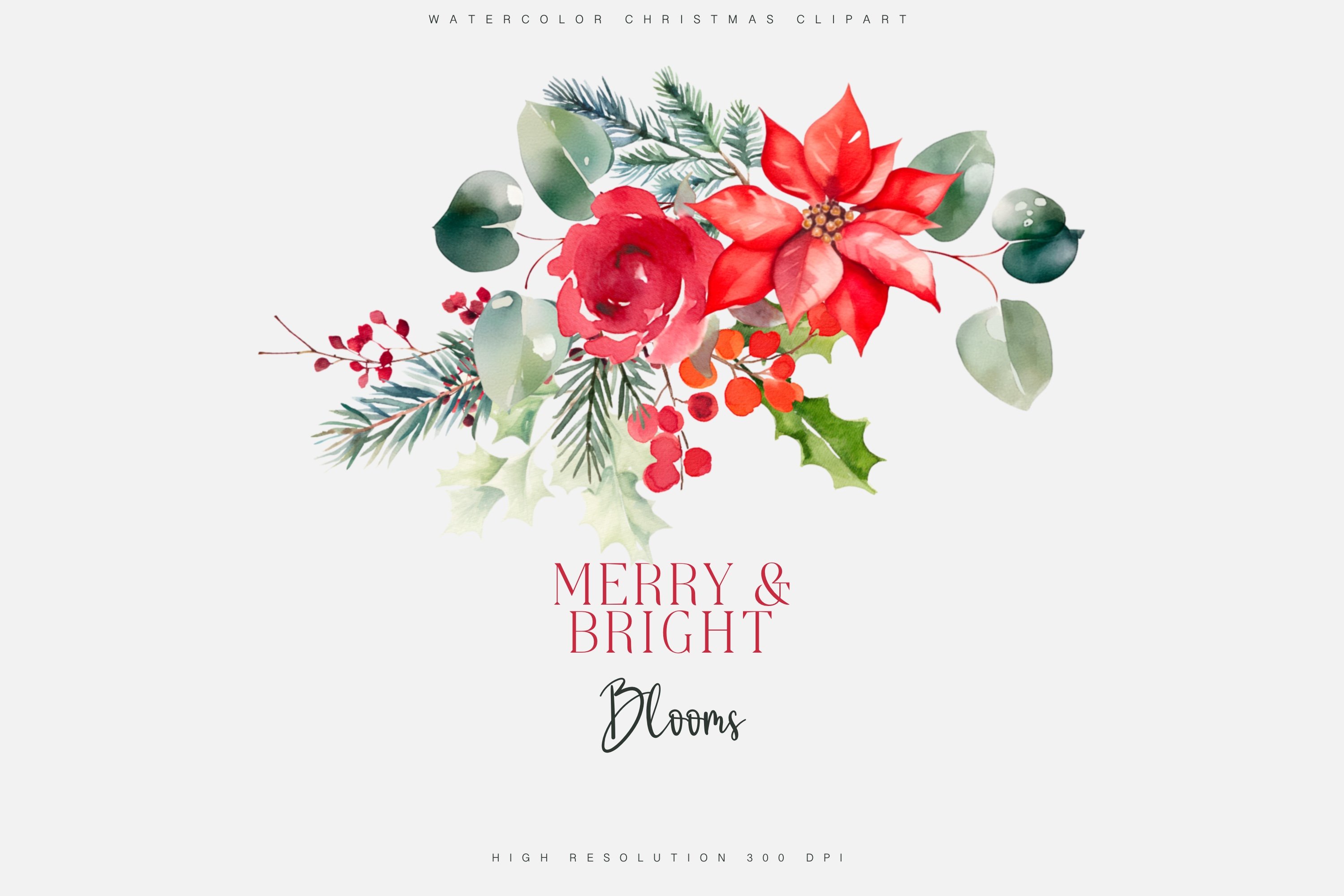 Watercolor Christmas Red Floral Clipart Set Design Cuts