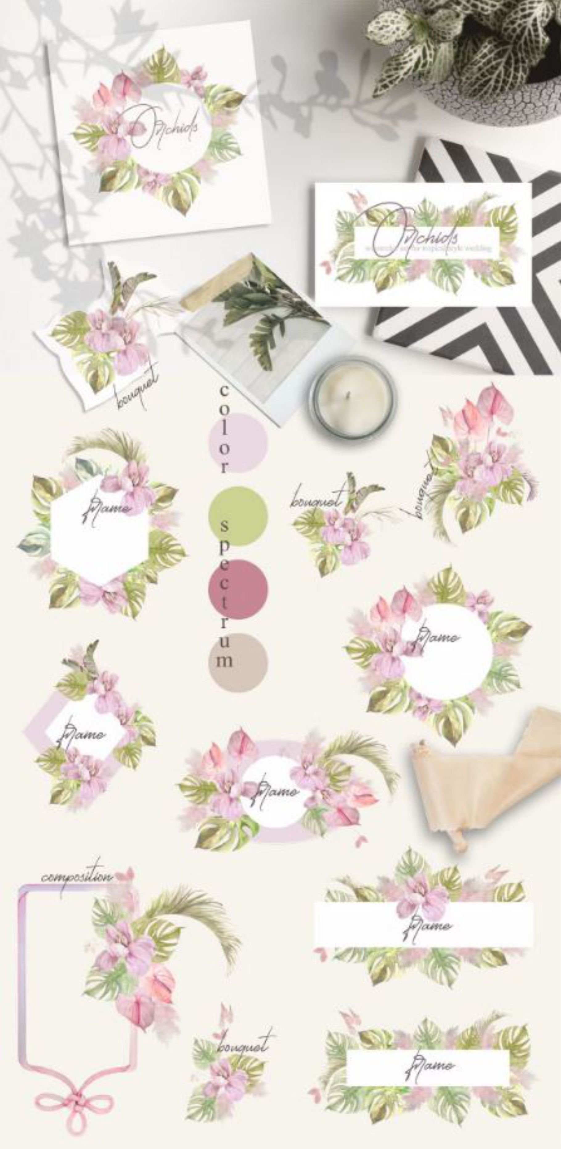 Orchids Watercolor Set Design Cuts