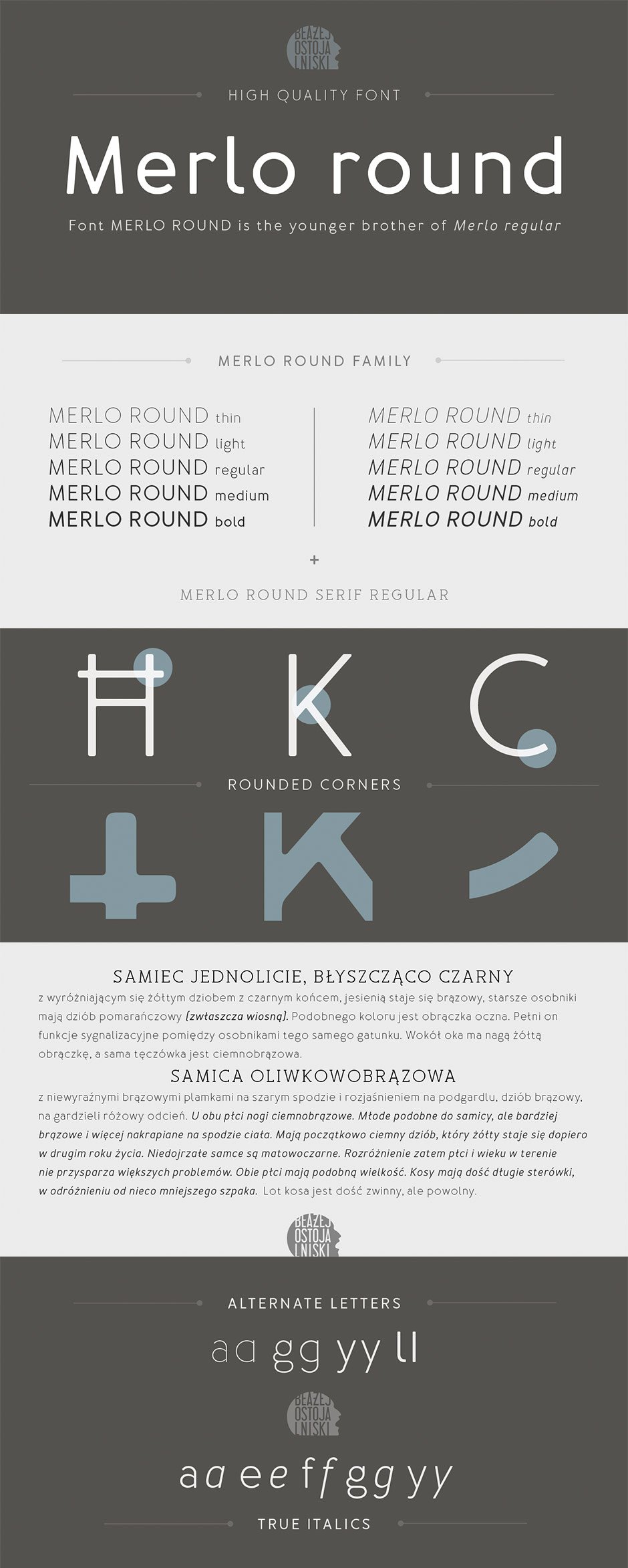 22 World Class Quality Fonts