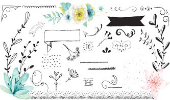 Decorative Vectors and Floral Graphics Pack
