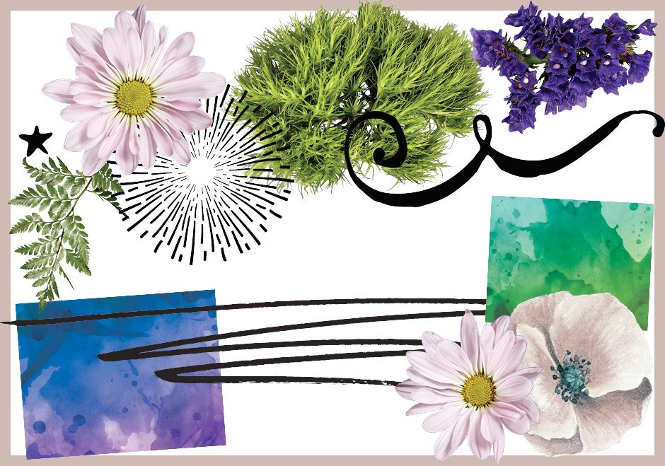 Floral Graphics, Watercolour Textures, Screentone Brushes, and Decorative Elements Pack