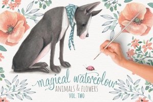 Magical Watercolor Graphics Volume 2