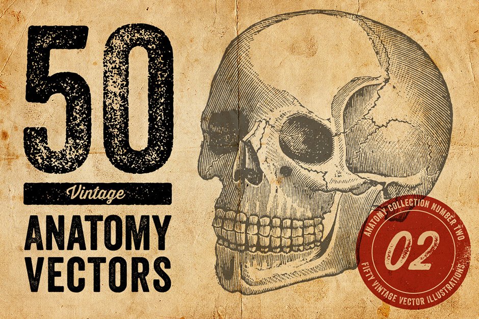 50 Vintage Anatomy Vectors