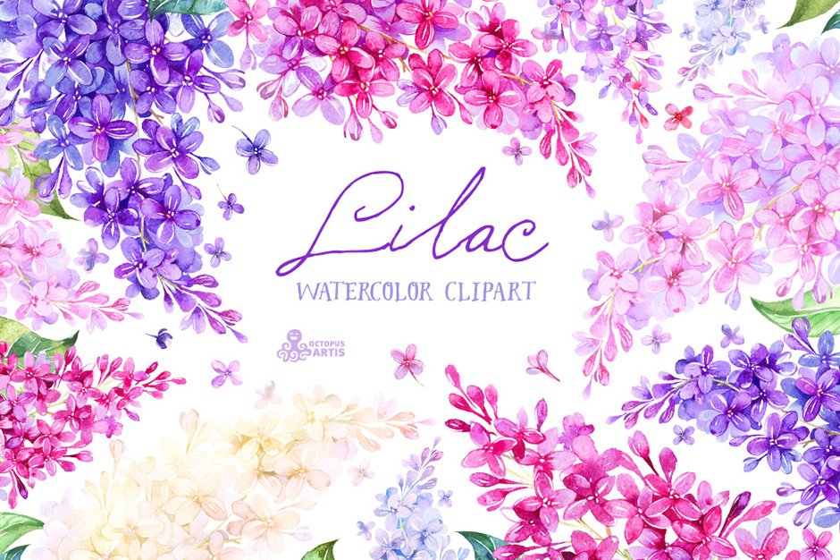 Lilac: Watercolor Collection
