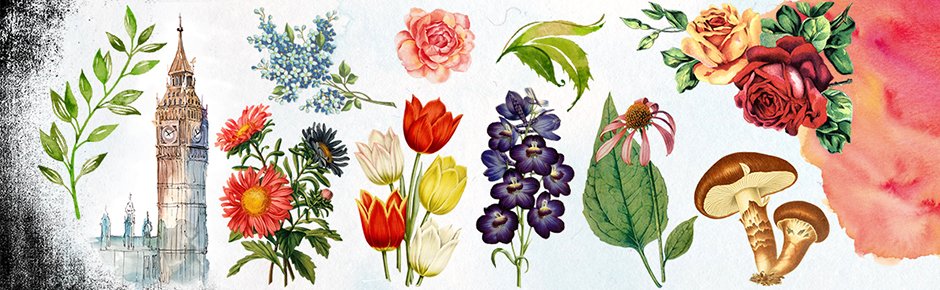 Colourful Nature and Plant Graphics & Watercolour and Grit Textures