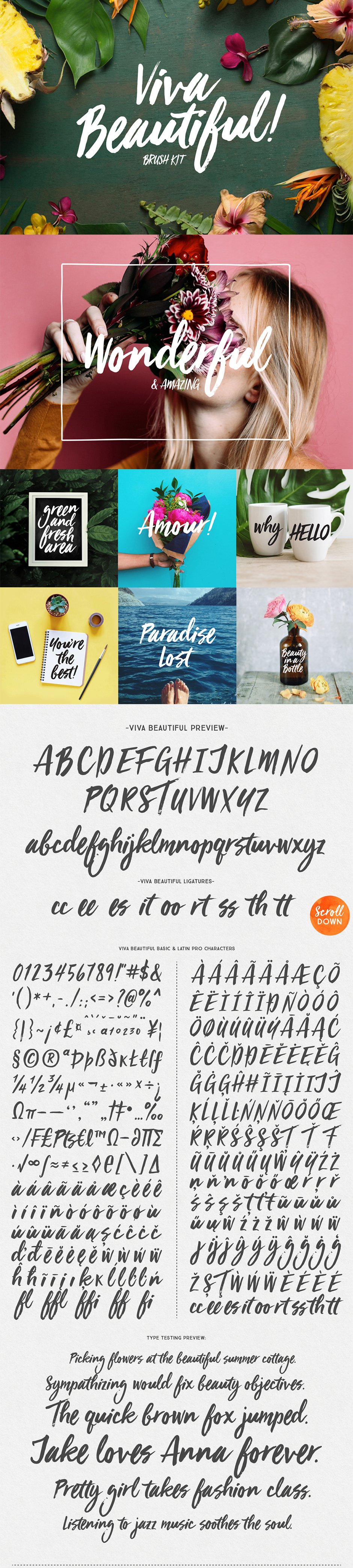 20 Best-Selling, Versatile Font Families