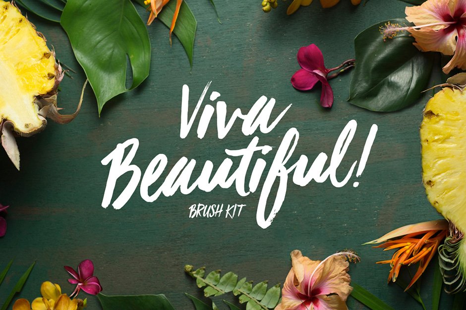 Viva Beautiful Kit