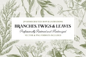 Free: 29 Branches Twigs & Leaves