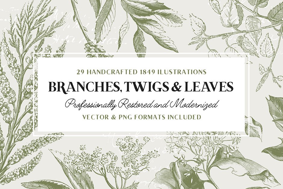 29 Branches Twigs & Leaves