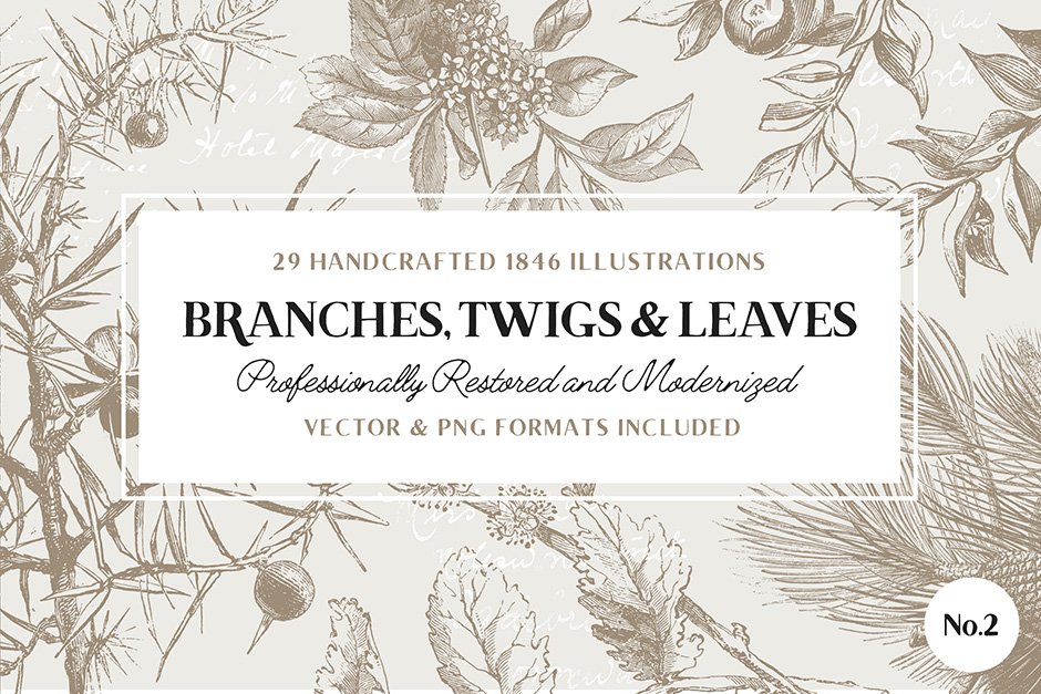 29 Branches Twigs Leaves No. 2