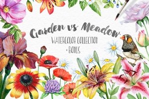 Garden vs. Meadow Watercolour Collection
