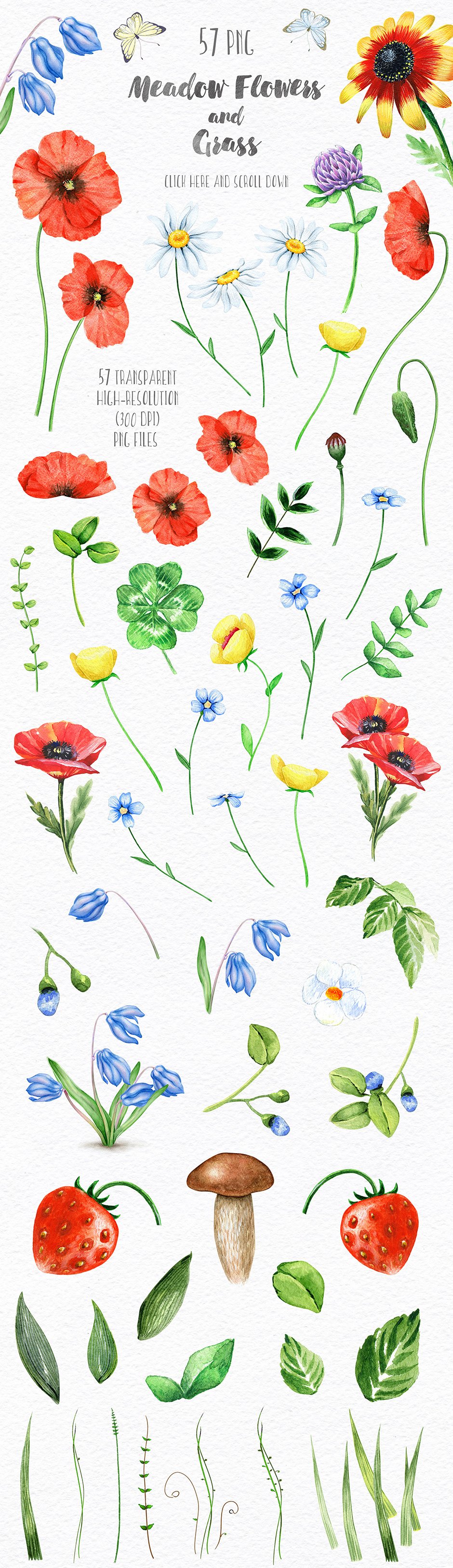 Garden vs. Meadow Watercolour Collection