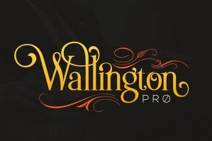 The Wallington Pro