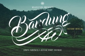 Bandung & Aceserif Typefaces