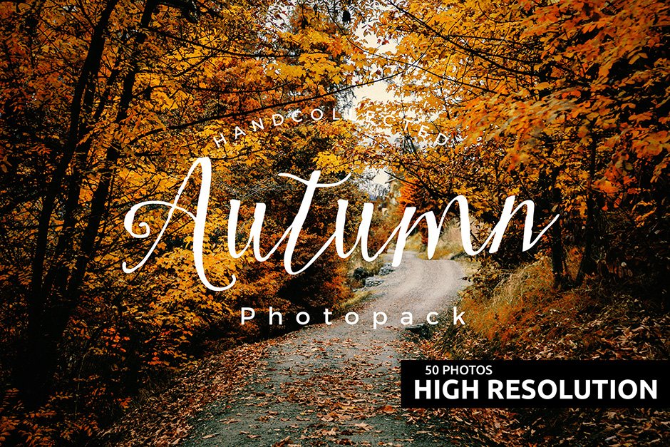 50+ Hi-Res Autumn Photos
