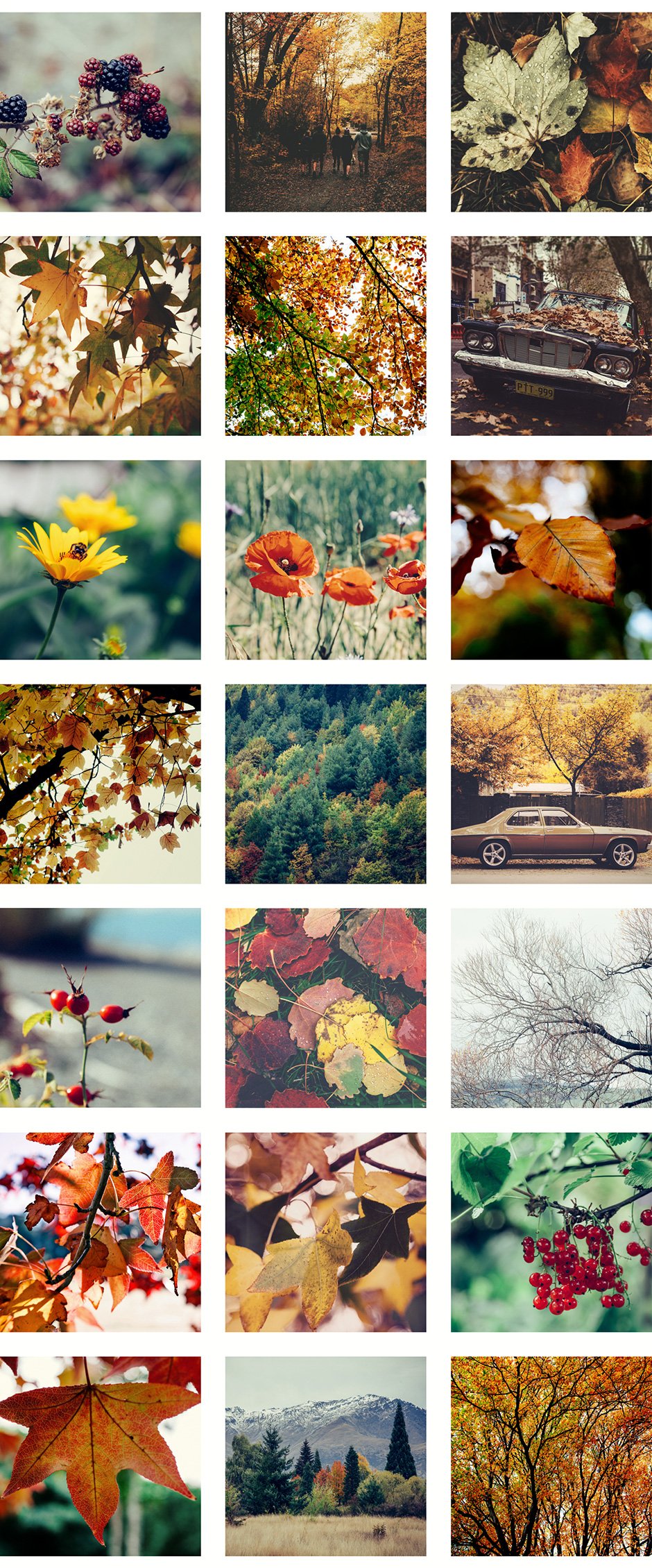 50+ Hi-Res Autumn Photos