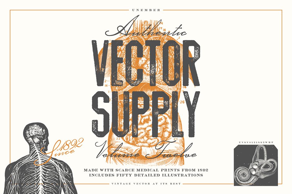 Unember Vector Supply Volume 12