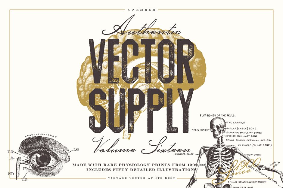 …Unember Vector Supply Volume 16