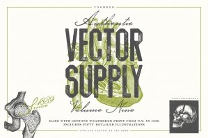 Unember Vector Supply Volume 9