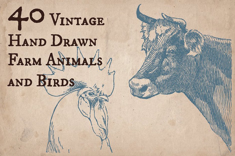 40 Vintage Farm Animals and Birds
