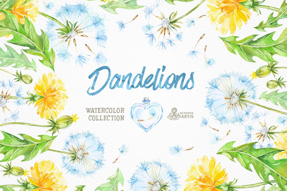 Dandelions Floral Collection