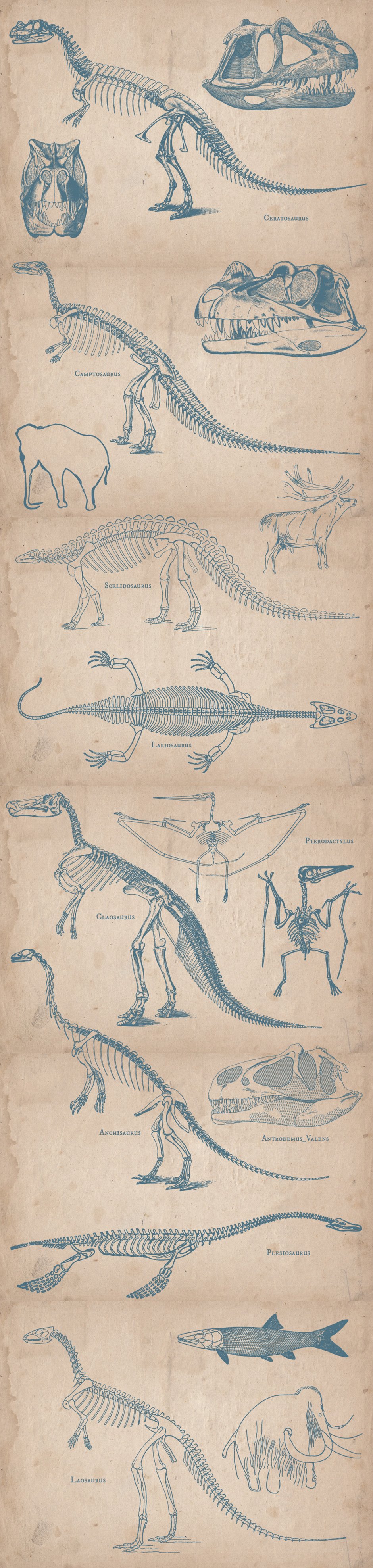 Prehistoric Animals