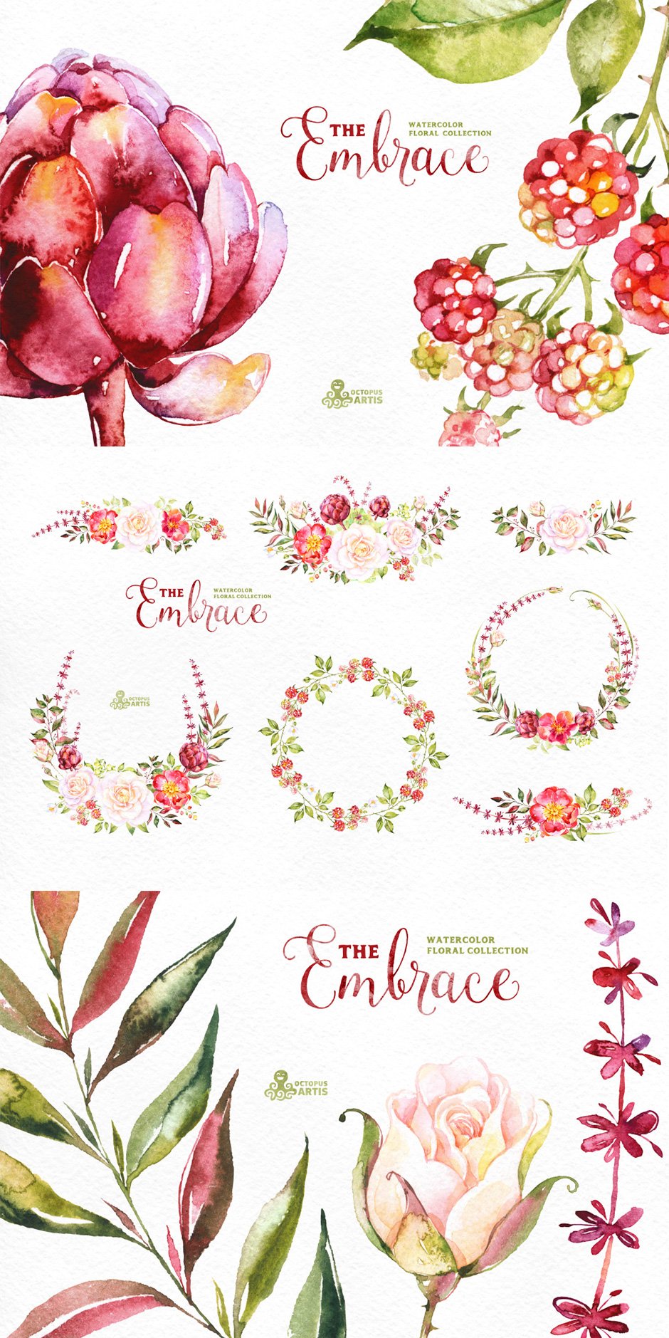 The Embrace Floral Collection