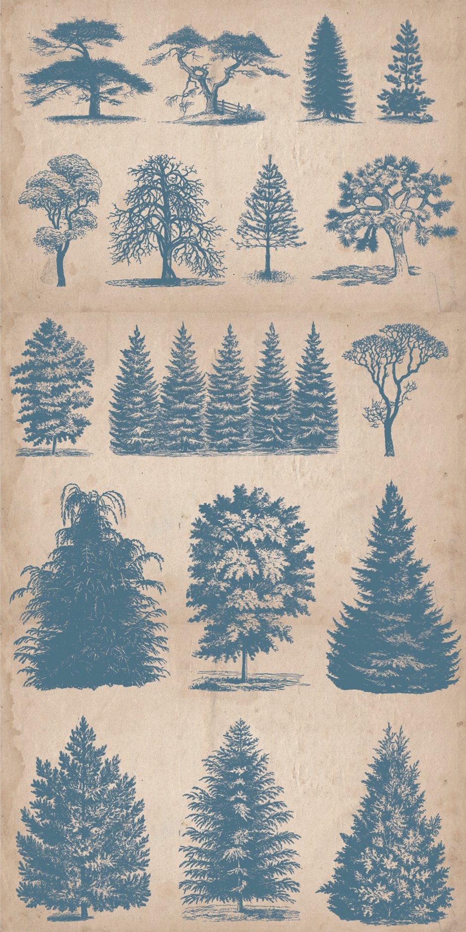 64 Vintage Hand-drawn Trees