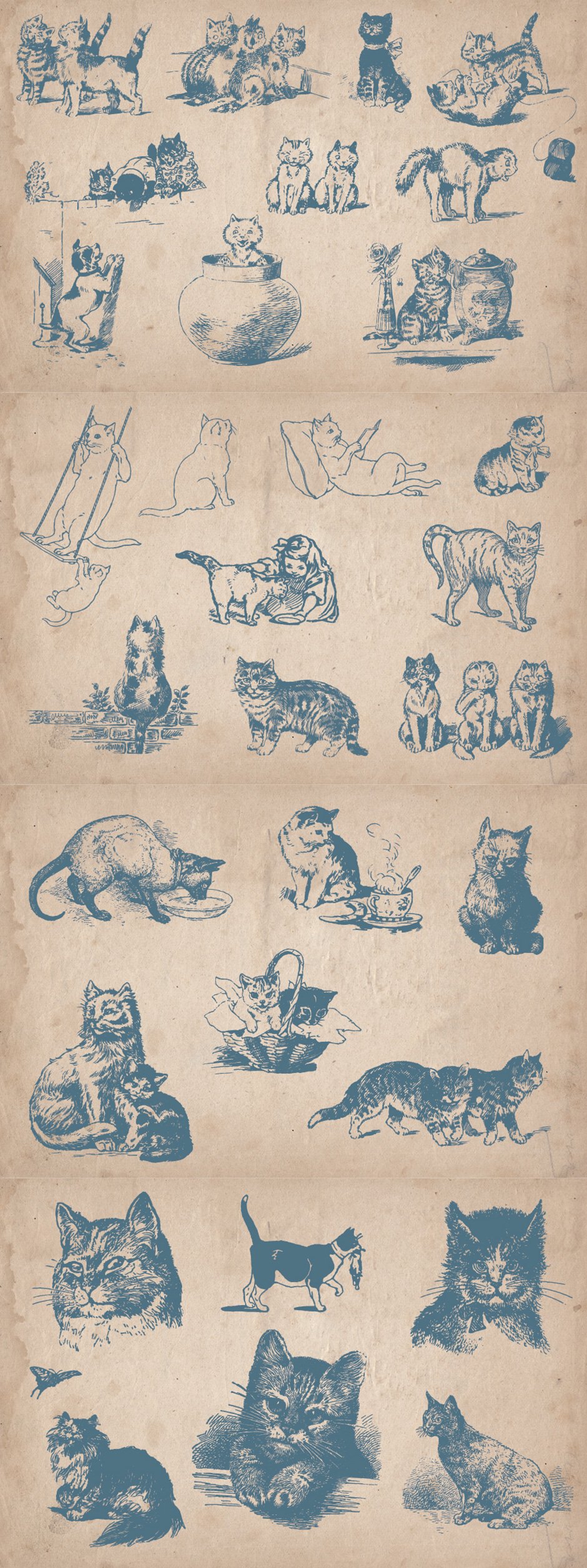 31 Hand-drawn Cats and Kittens