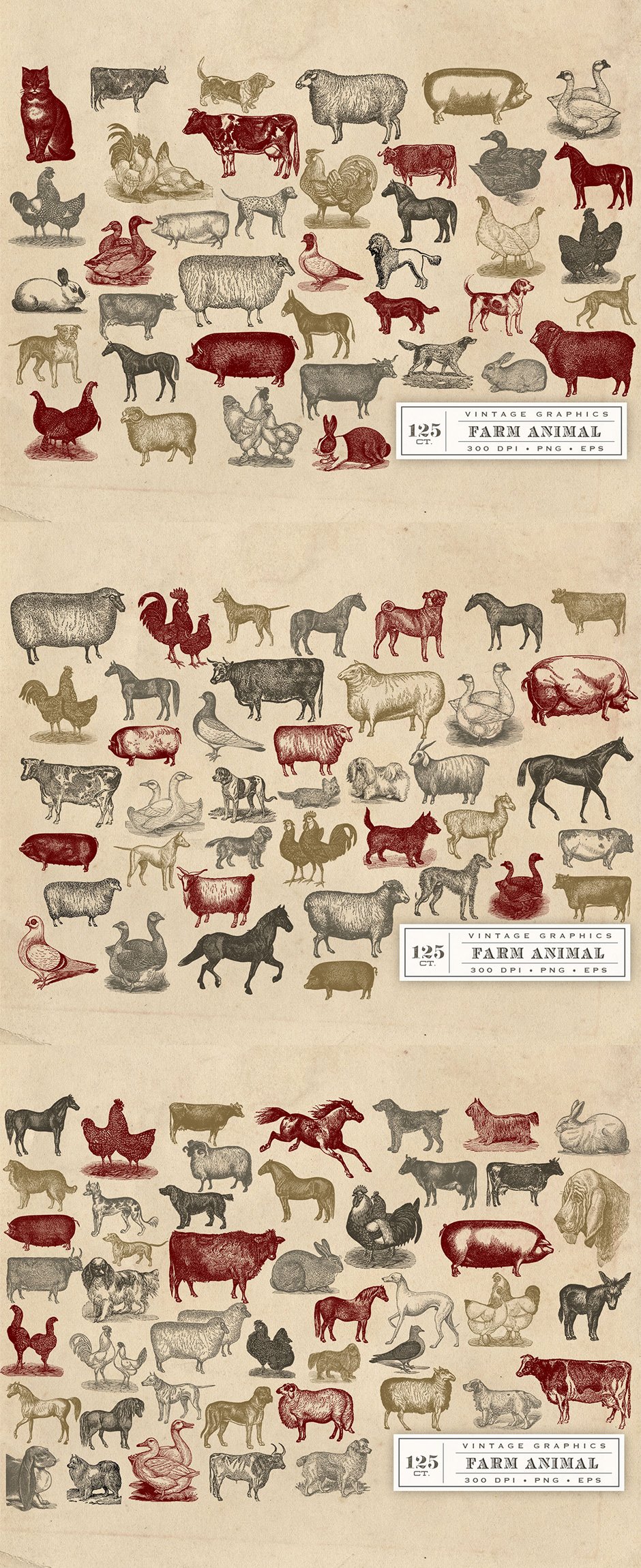 Vintage Farm Animal Vector Graphics