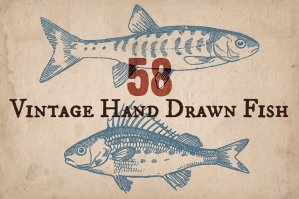 58 Vintage Hand-drawn Fish