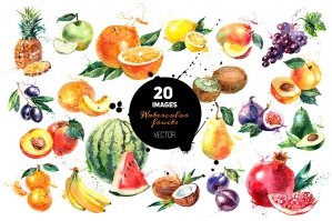 20 Watercolor Fruit Vectors