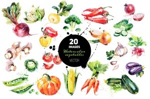 20 Watercolor Vegetables Vector