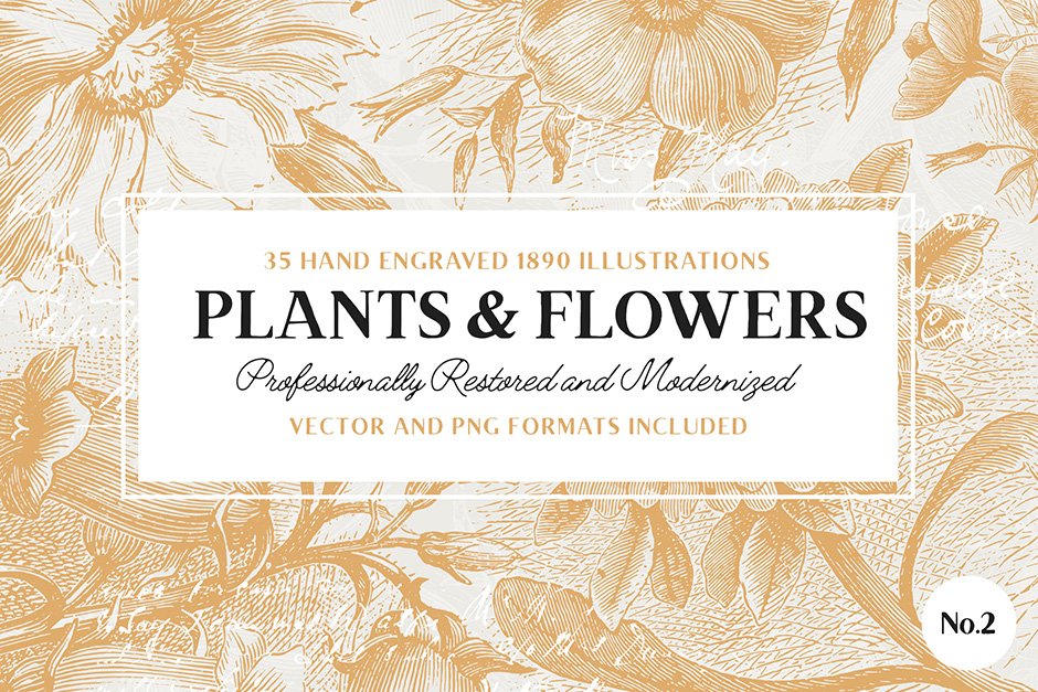 35 Plant Flower Illustrations No. 2