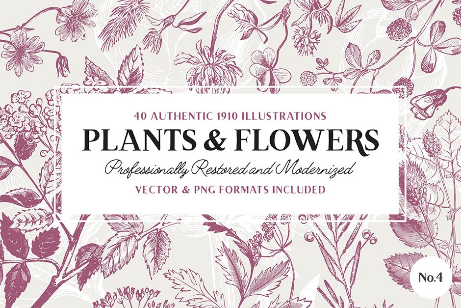 40 Plant & Flower Illustrations No. 4