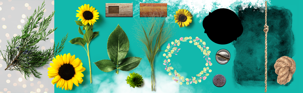 Brushes, Flower & Outdoor Vector Elements, Textures and Backgrounds