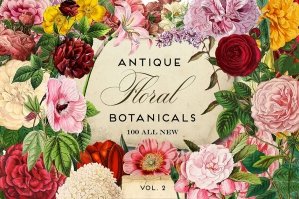 Antique Botanical Floral Graphics 2