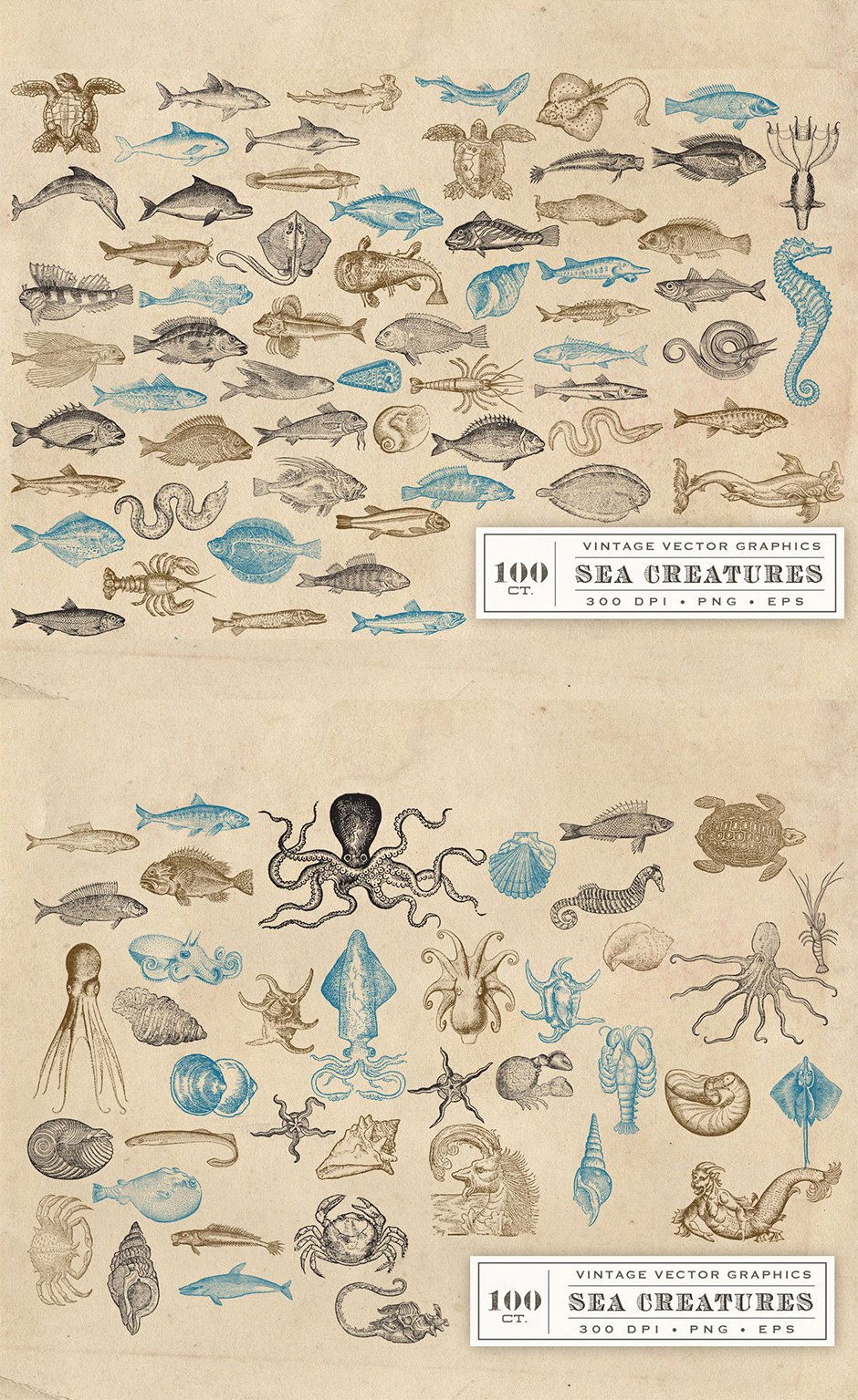 Vintage Sea Creatures & Monsters