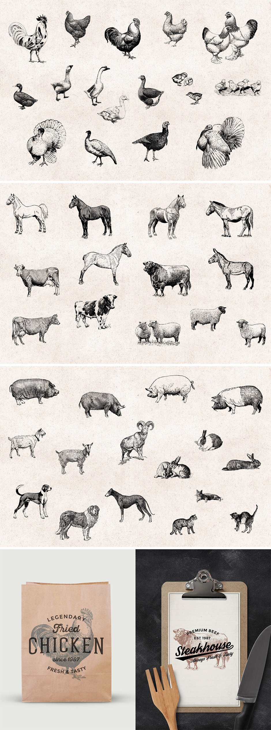 46 Farm Animals Vintage Engravings