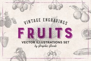 84 Fruits Vintage Engravings