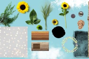 Brushes, Flower & Outdoor Vector Elements, Textures and Backgrounds