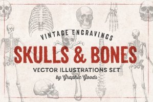 11 Skulls & Bones Illustrations