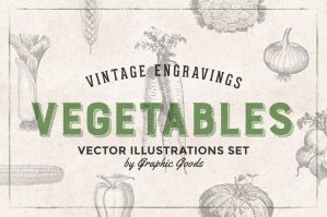 75 Vintage Vegetable Engravings