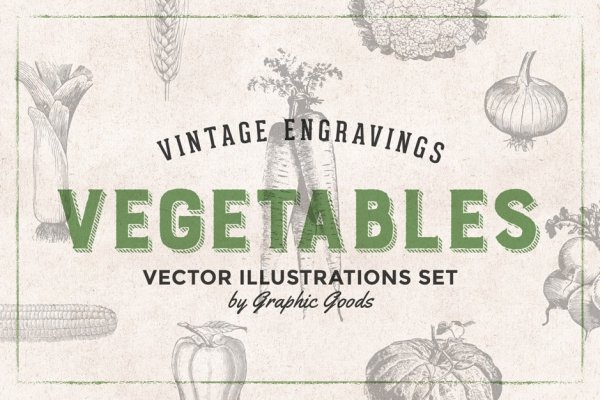 https://designcuts.b-cdn.net/wp-content/uploads/2017/02/vegetables-first-image-600x400.jpg