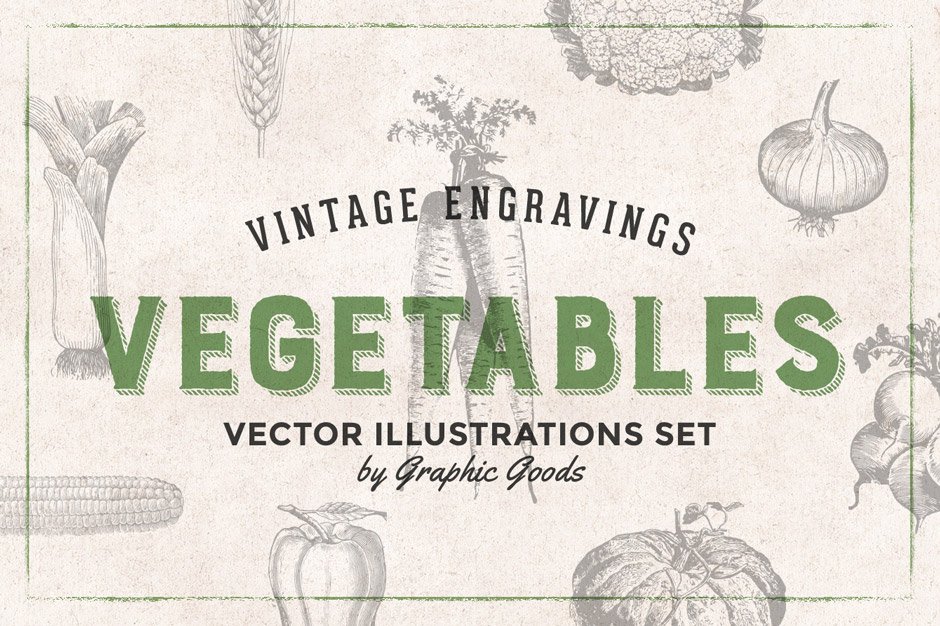 75 Vegetables Vintage Engravings