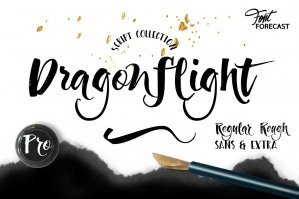 Dragonflight Pro