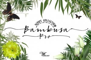Bambusa Pro: Modern Calligraphy Font Family