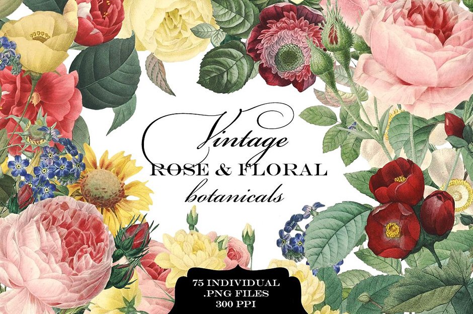 Vintage Rose Floral Botanicals